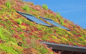Dalderby living roof systems